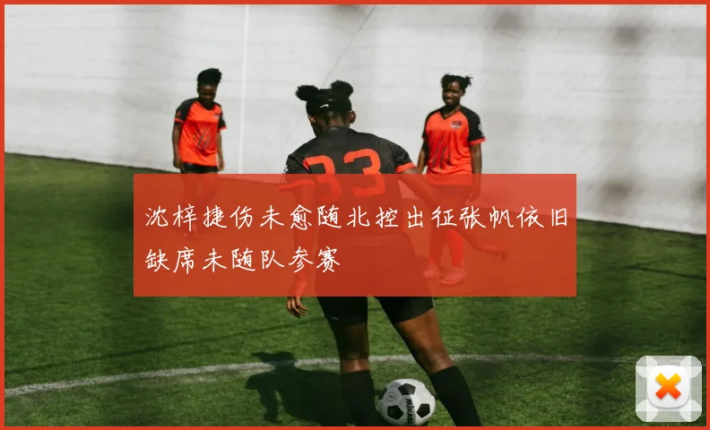 沈梓捷伤未愈随北控出征张帆依旧缺席未随队参赛