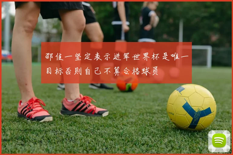 邵佳一坚定表示进军世界杯是唯一目标否则自己不算合格球员